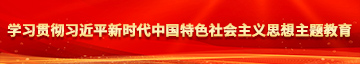 c逼少妇学习贯彻习近平新时代中国特色社会主义思想主题教育